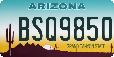 AZ license plate BSQ9850