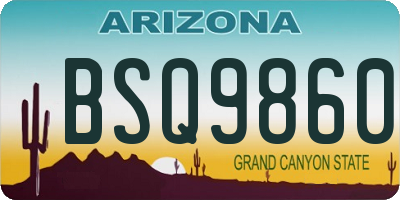 AZ license plate BSQ9860