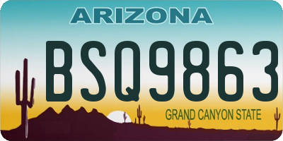 AZ license plate BSQ9863