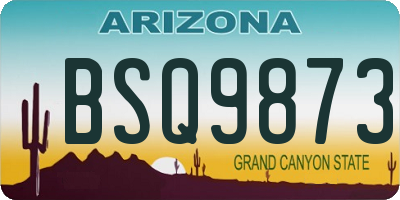 AZ license plate BSQ9873