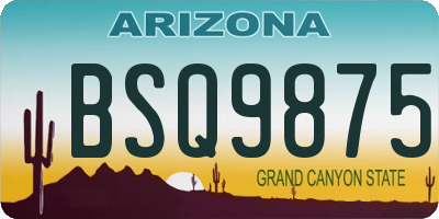 AZ license plate BSQ9875