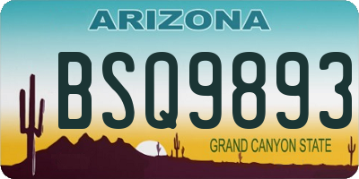 AZ license plate BSQ9893