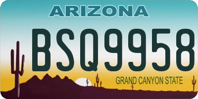 AZ license plate BSQ9958