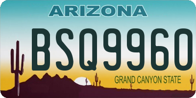 AZ license plate BSQ9960