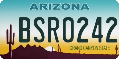 AZ license plate BSR0242
