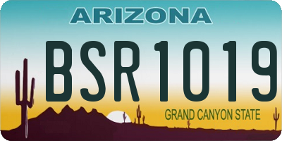 AZ license plate BSR1019