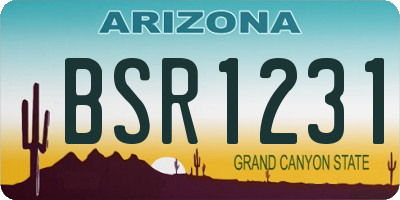 AZ license plate BSR1231