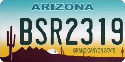 AZ license plate BSR2319