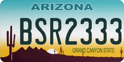 AZ license plate BSR2333