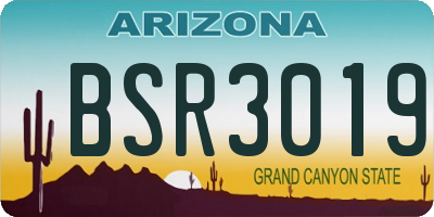 AZ license plate BSR3019