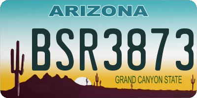 AZ license plate BSR3873