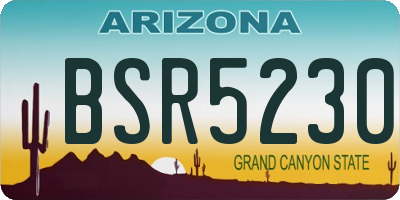 AZ license plate BSR5230