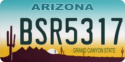 AZ license plate BSR5317