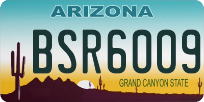 AZ license plate BSR6009