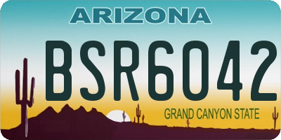 AZ license plate BSR6042