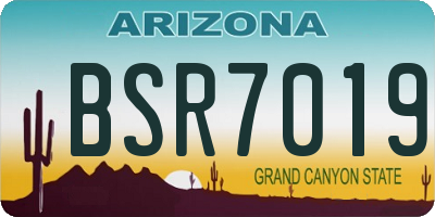 AZ license plate BSR7019