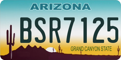 AZ license plate BSR7125