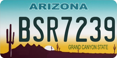 AZ license plate BSR7239