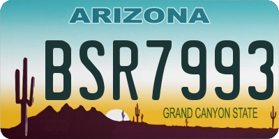 AZ license plate BSR7993