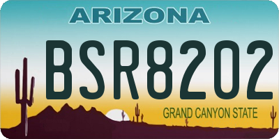 AZ license plate BSR8202