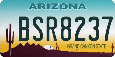 AZ license plate BSR8237