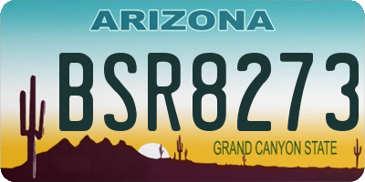 AZ license plate BSR8273