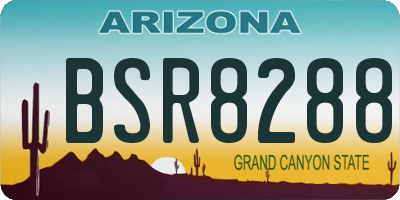 AZ license plate BSR8288