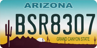 AZ license plate BSR8307