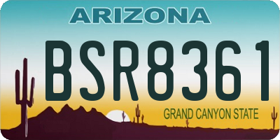 AZ license plate BSR8361