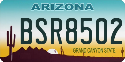 AZ license plate BSR8502