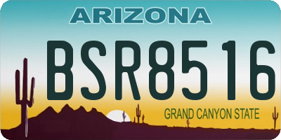 AZ license plate BSR8516