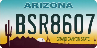 AZ license plate BSR8607