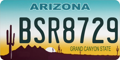 AZ license plate BSR8729