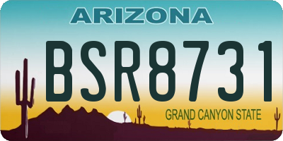 AZ license plate BSR8731