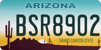 AZ license plate BSR8902