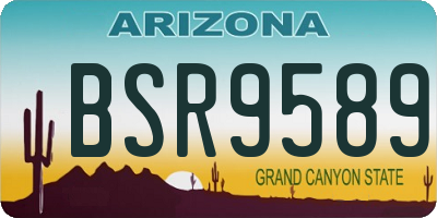 AZ license plate BSR9589