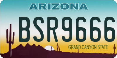 AZ license plate BSR9666