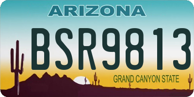 AZ license plate BSR9813