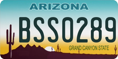 AZ license plate BSS0289
