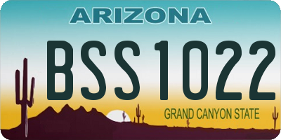 AZ license plate BSS1022