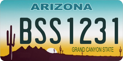 AZ license plate BSS1231