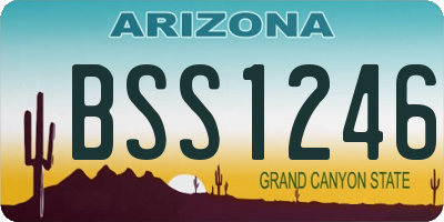 AZ license plate BSS1246