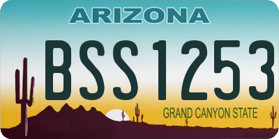 AZ license plate BSS1253