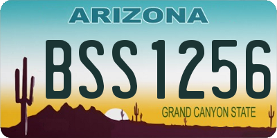 AZ license plate BSS1256