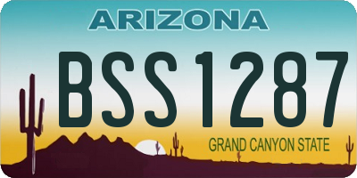 AZ license plate BSS1287