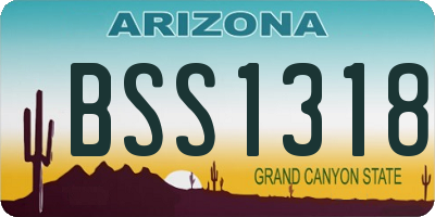 AZ license plate BSS1318
