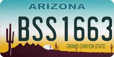 AZ license plate BSS1663