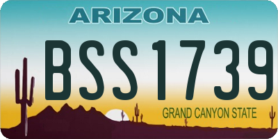 AZ license plate BSS1739