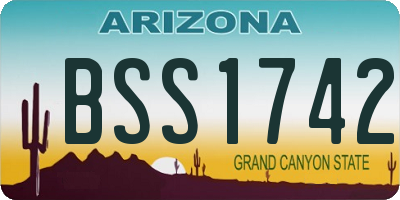 AZ license plate BSS1742