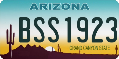 AZ license plate BSS1923